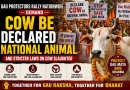 Gau Protectors Take to Streets, Demand Cow Be Declared National Animal in India