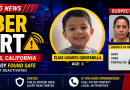 AMBER Alert Los Angeles: Missing 3-Year-Old Boy Found Safe After Police Search